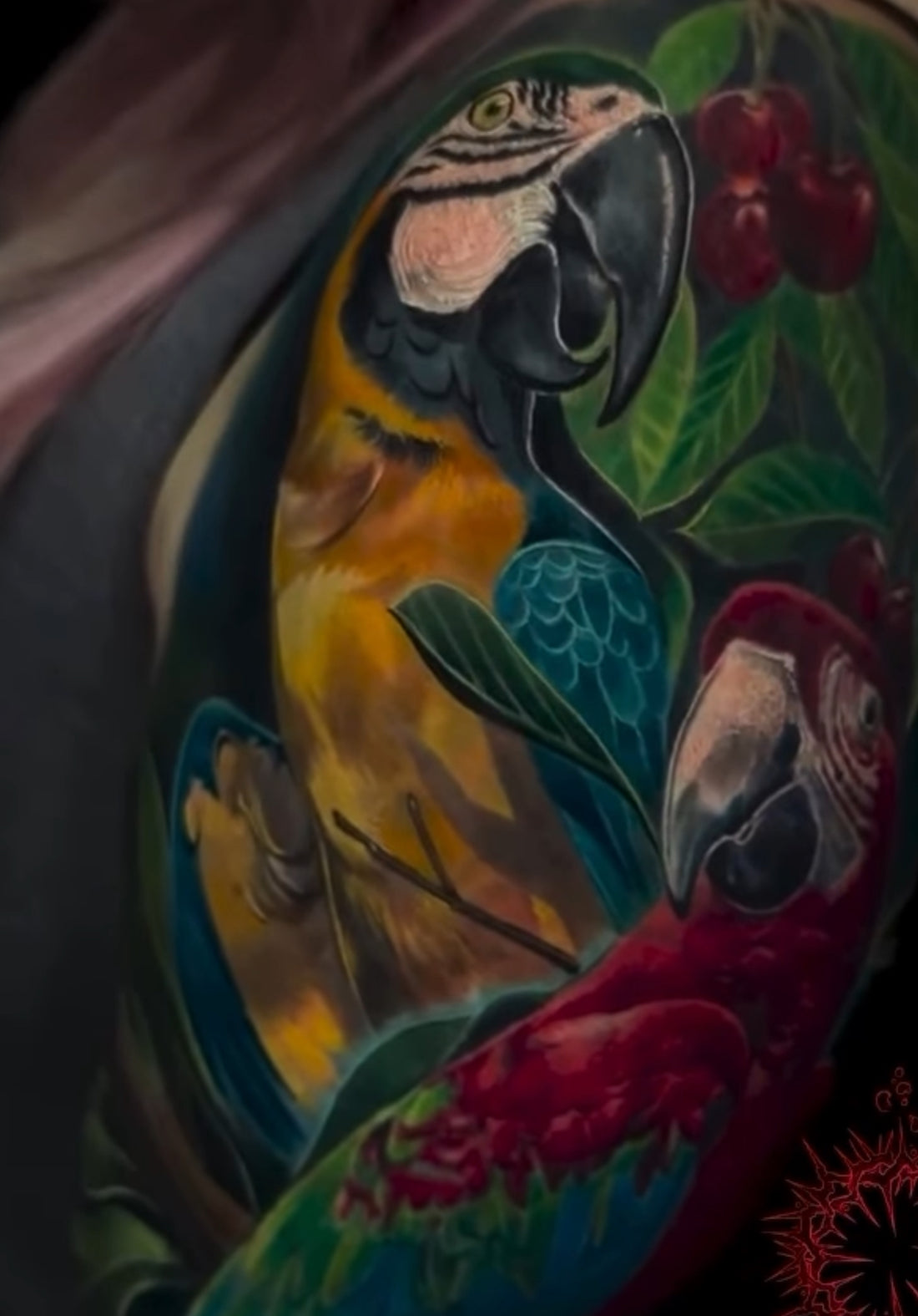 Parrots tattoo by @chagall.tattoos