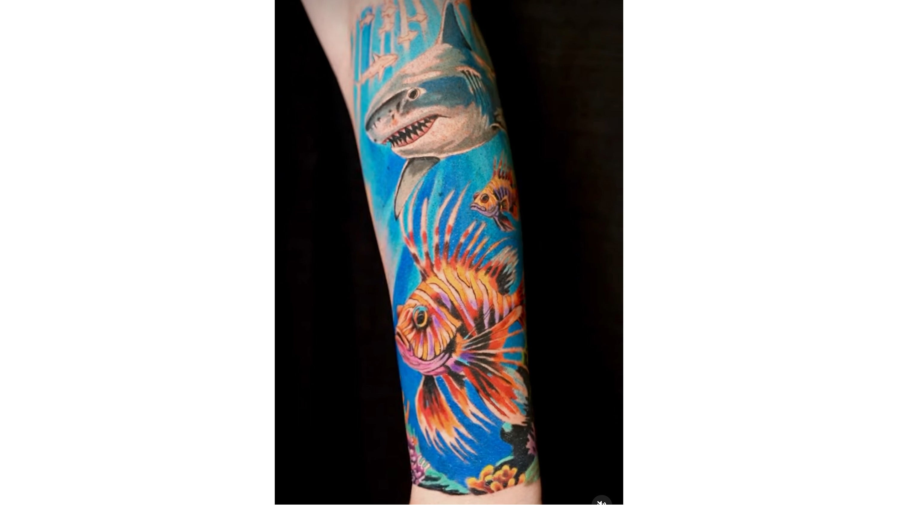 shark tattoo ocean fish color